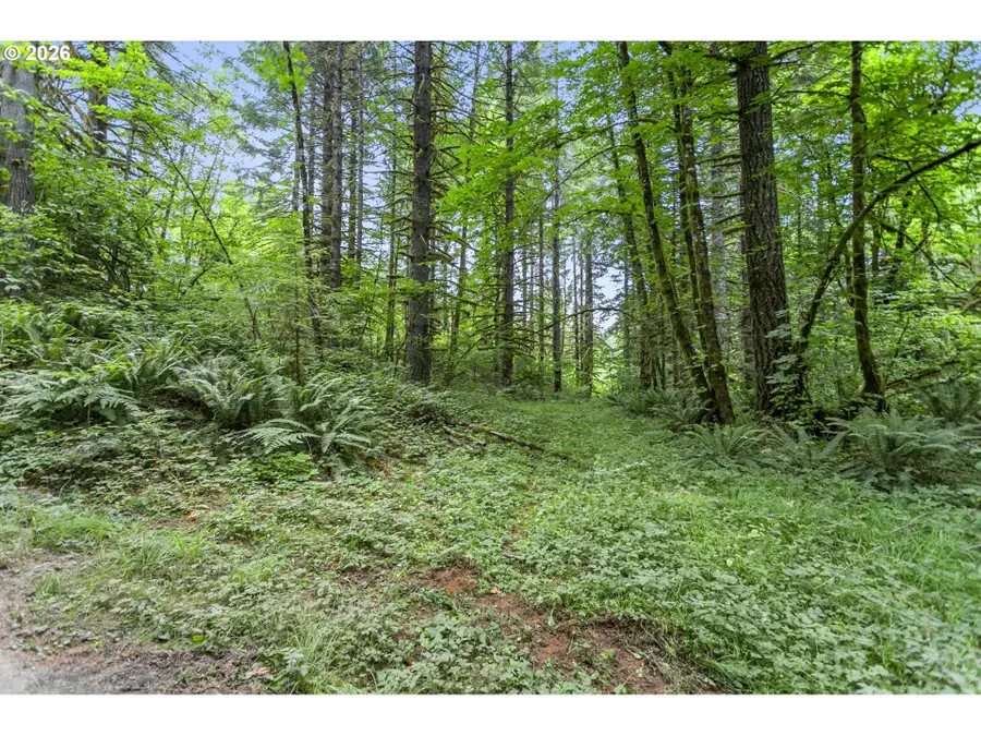 56570 NW Strassel Rd, Coast Range, OR 97116 - #3