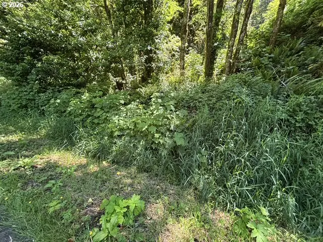Sweet Creek Road, Mapleton, OR 97453 - #3