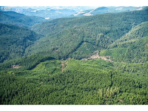 Usfs 71 Rd, CulpCreek, OR 97434