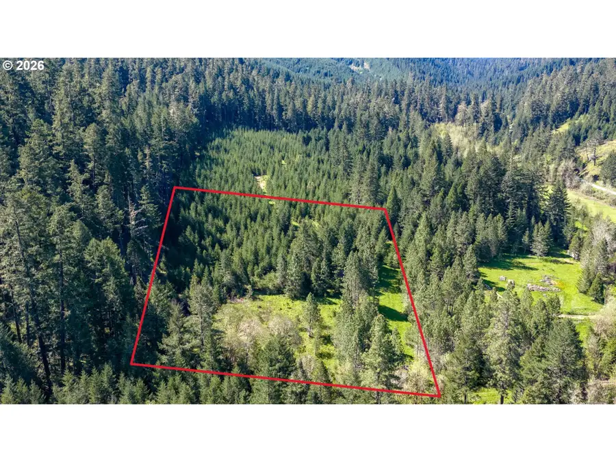 Berry Creek Rd, Winston, OR 97496 - #3