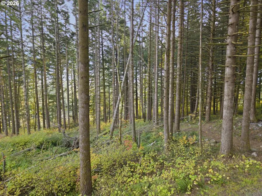 0 Warren Rd #3, North Bonneville, WA 98639 - #3
