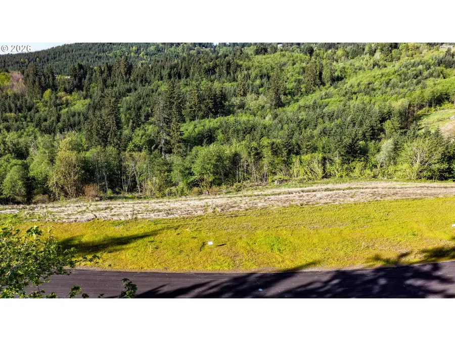 0 Carmen Sylvia Dr #Lot 8, Kalama, WA 98625 - #2