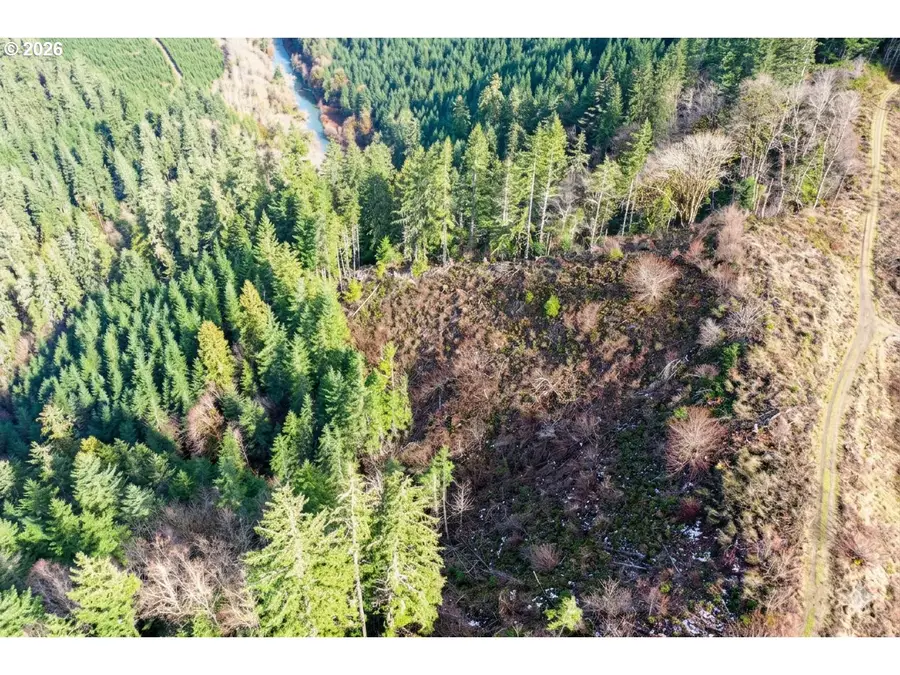 Upper Smith River Rd #TL1500, Reedsport, OR 97467 - #2