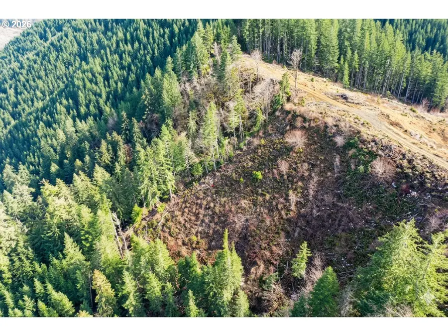 Upper Smith River Rd #TL1500, Reedsport, OR 97467 - #3