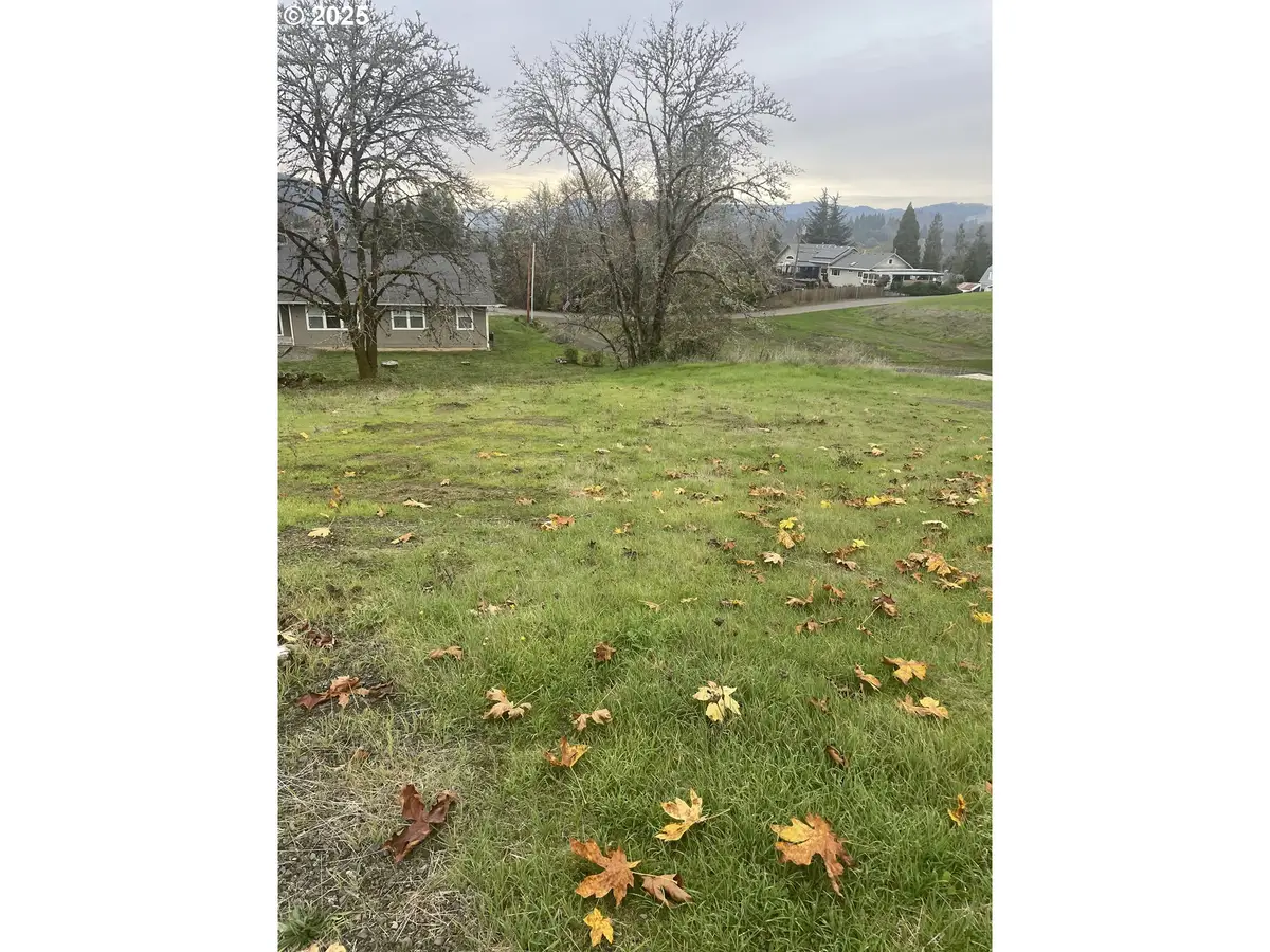 0 SE Apple St, Oakland, OR 97462 - #1
