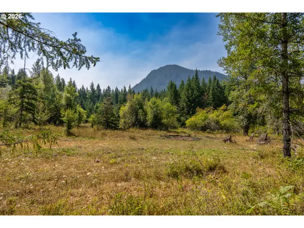 Hawk Meadows Rd #5, Carson, WA 98610