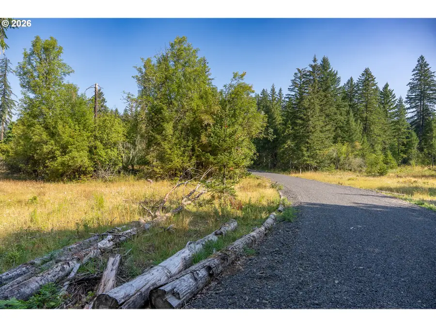 Hawk Meadows Rd #5, Carson, WA 98610 - #2