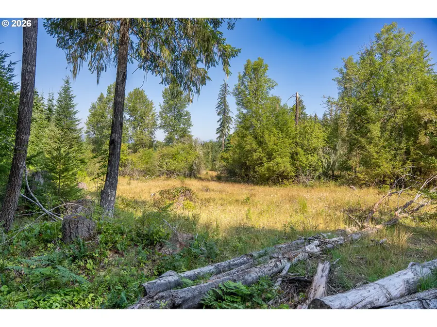 Hawk Meadows Rd #5, Carson, WA 98610 - #3