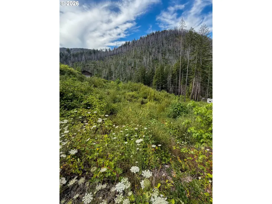 0 Evergreen Ln, North Umpqua, OR 97447 - #3