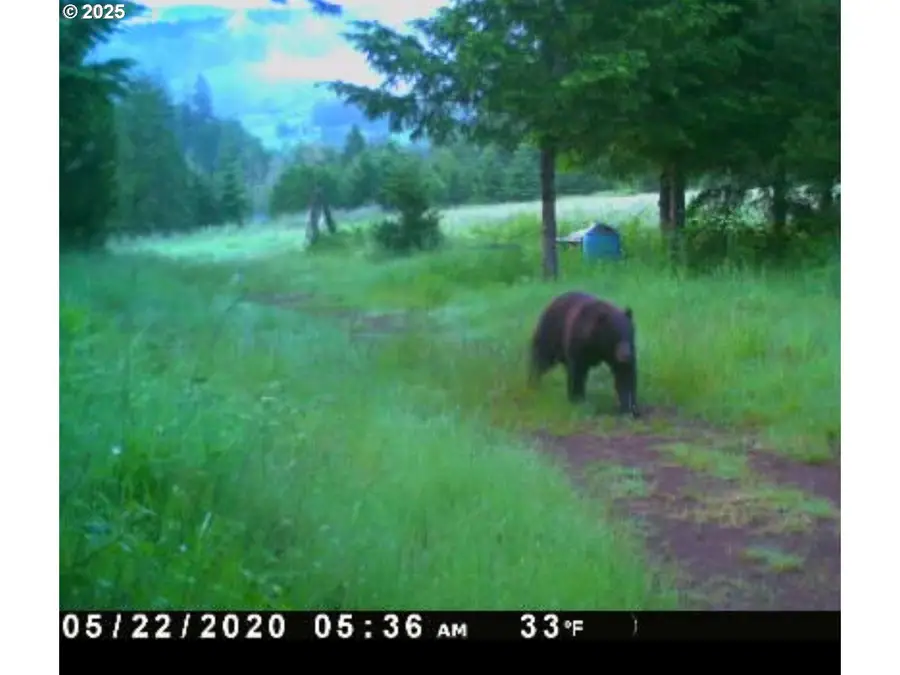 Kenady Lane Lot 401, Cottage Grove, OR 97424 - #2