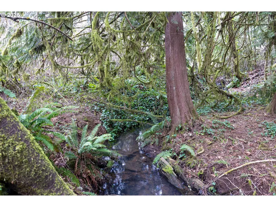 Kenady Lane Lot 401, Cottage Grove, OR 97424 - #3