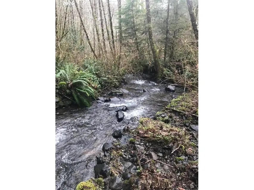 000 Alsea Hwy, Alsea, OR 97324 - #1
