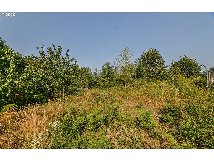 Mclean Hill Rd, Clatskanie, OR 97016 - #2