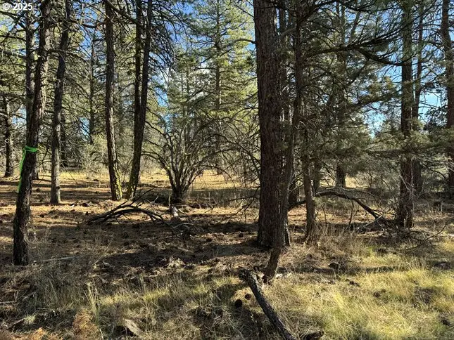 Bunting Drive #31, Bonanza, OR 97623 - Image #3