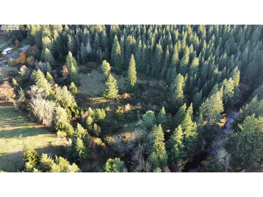 Hard Cash Ln, Camas Valley, OR 97416 - #2