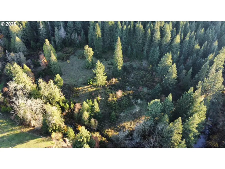 Hard Cash Ln, Camas Valley, OR 97416 - #3