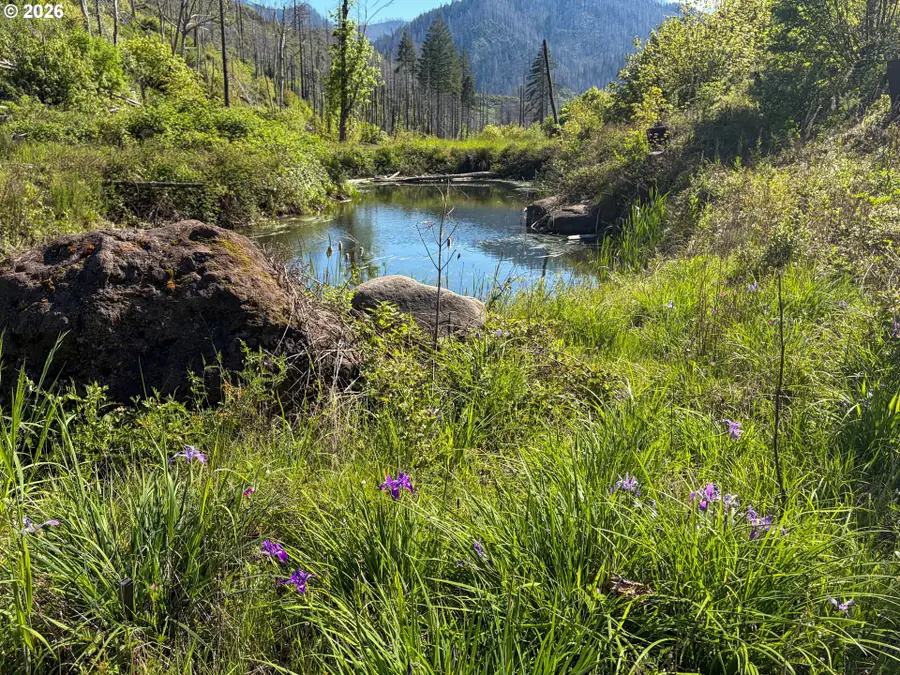 942 Honey Creek Rd, North Umpqua, OR 97447 - #3