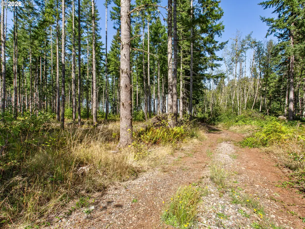 25583 S Elwood Rd, Colton, OR 97017 - #1