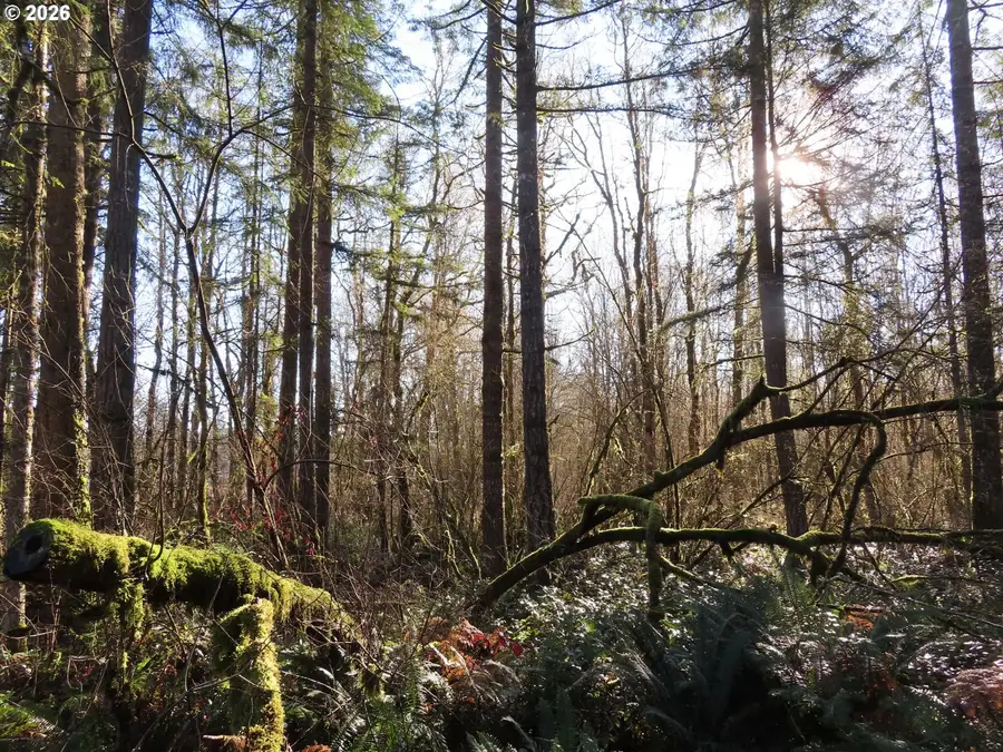 115 Campground Ln, Winlock, WA 98596 - #2