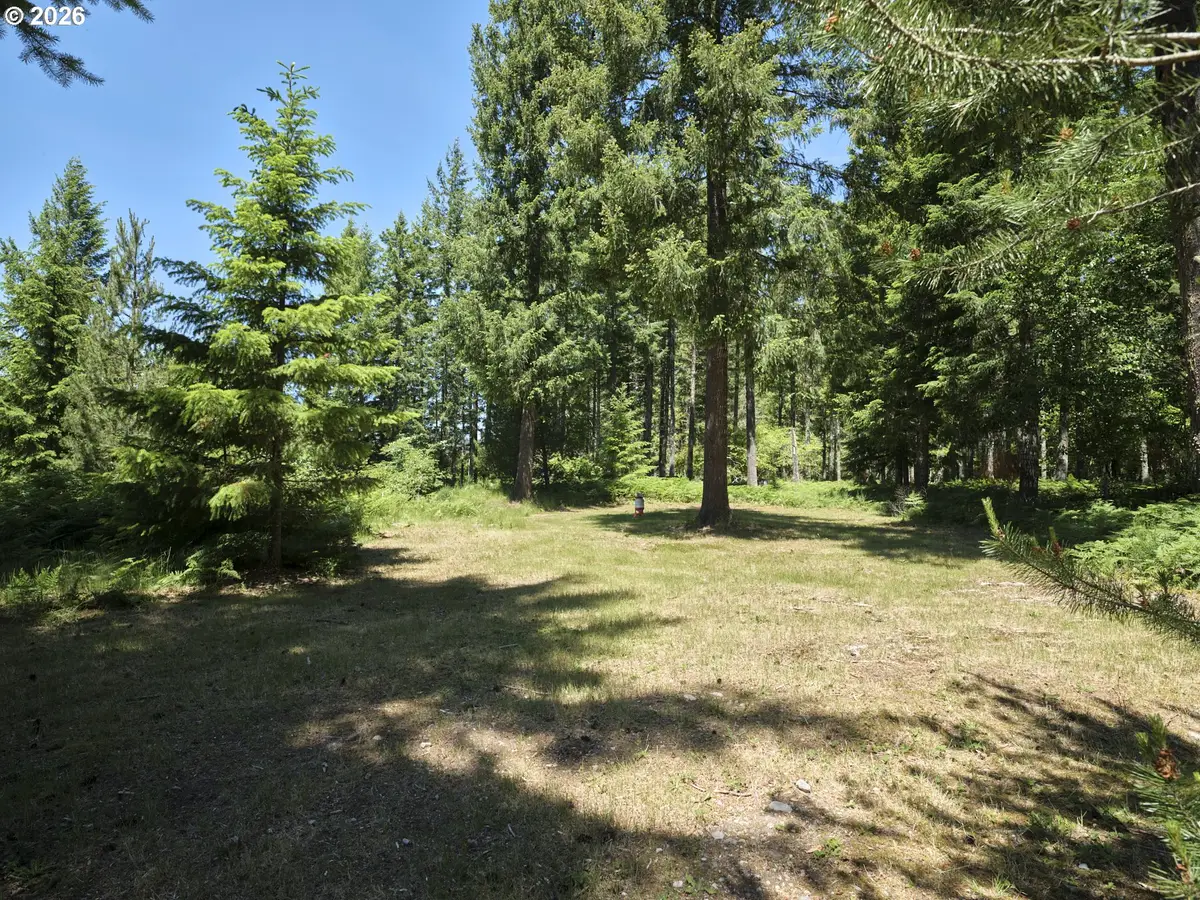 Loowit Ln, Cougar, WA 98616 - #1