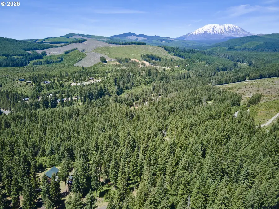 Loowit Ln, Cougar, WA 98616 - #2