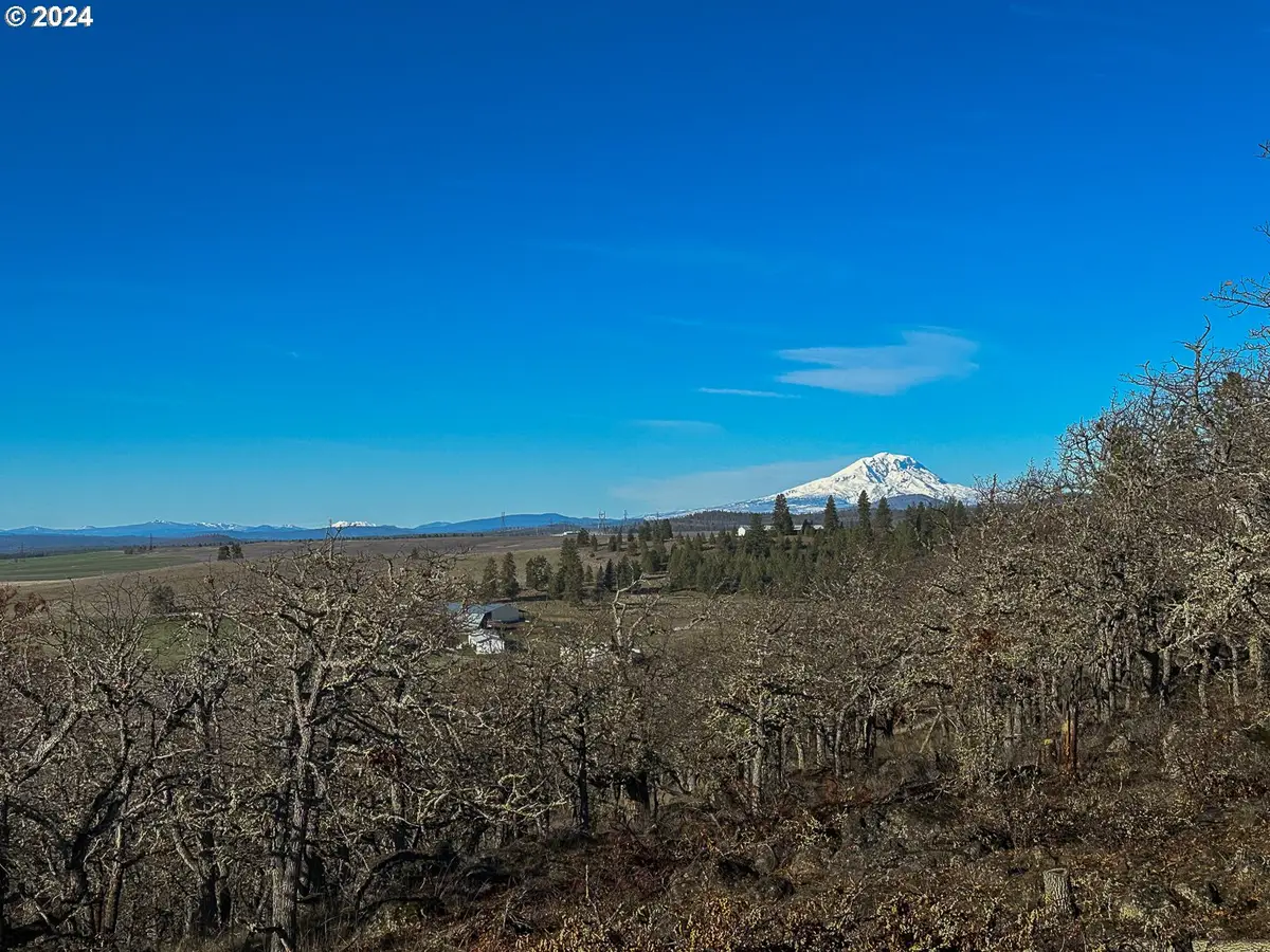 33 Rose Anns Way, Goldendale, WA 98620 - #1