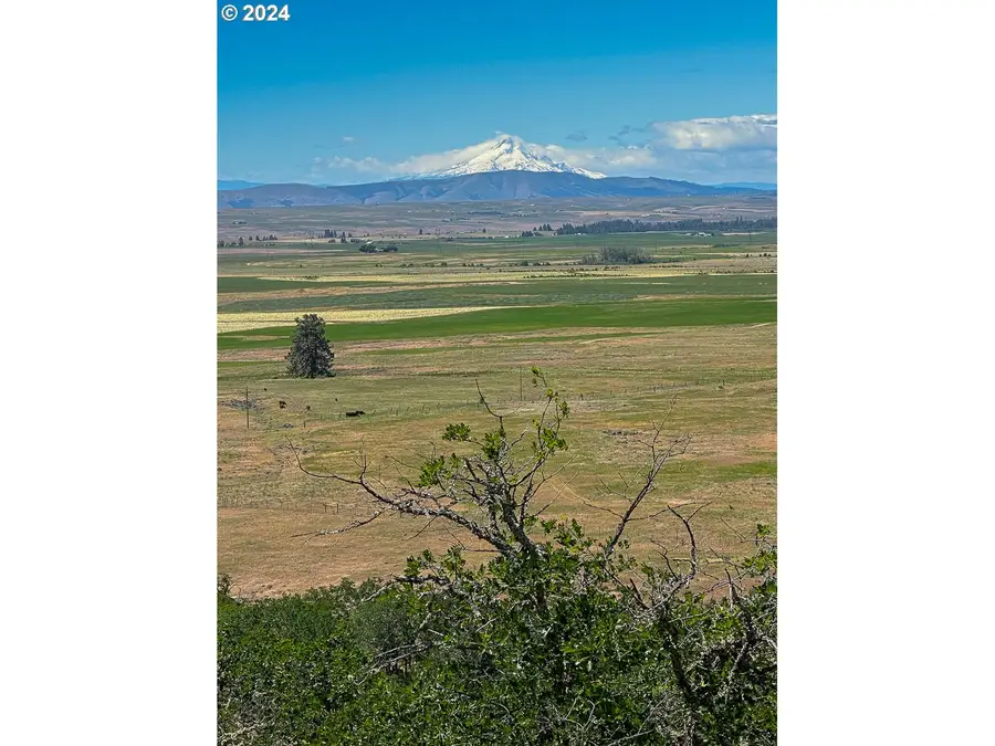 33 Rose Anns Way, Goldendale, WA 98620 - #2