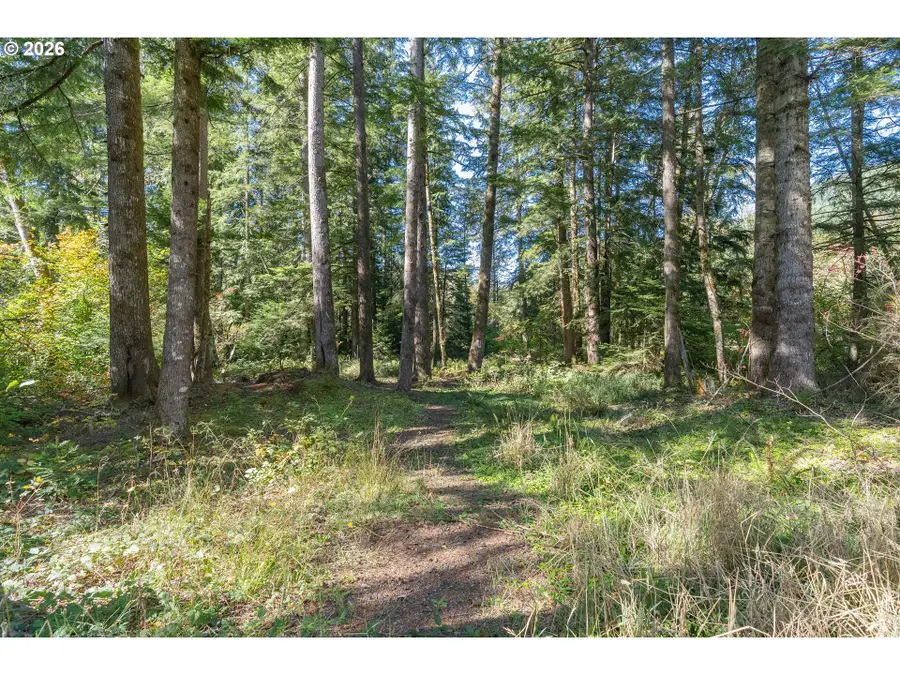 67159 E Barlow Trail Rd, Rhododendron, OR 97049 - #2