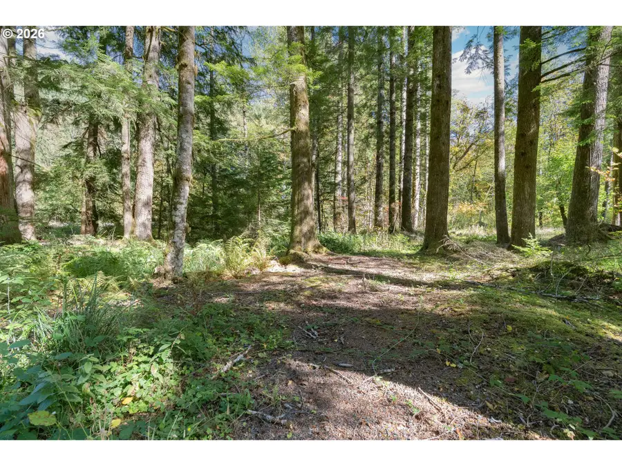67159 E Barlow Trail Rd, Rhododendron, OR 97049 - #3