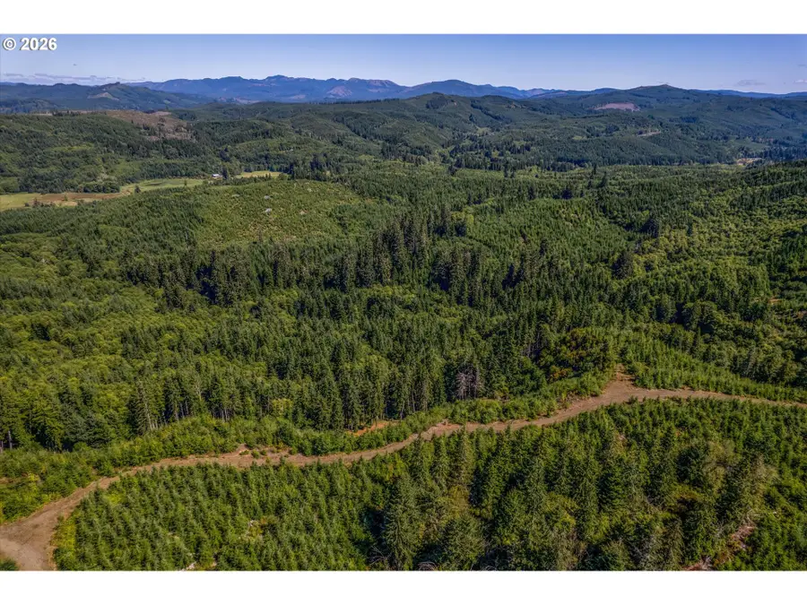 1 Eden Valley Rd, Rosburg, WA 98643 - #2