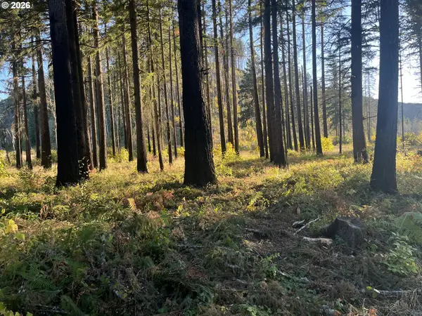 23483 SE Willa Ln, Lyons, OR 97358