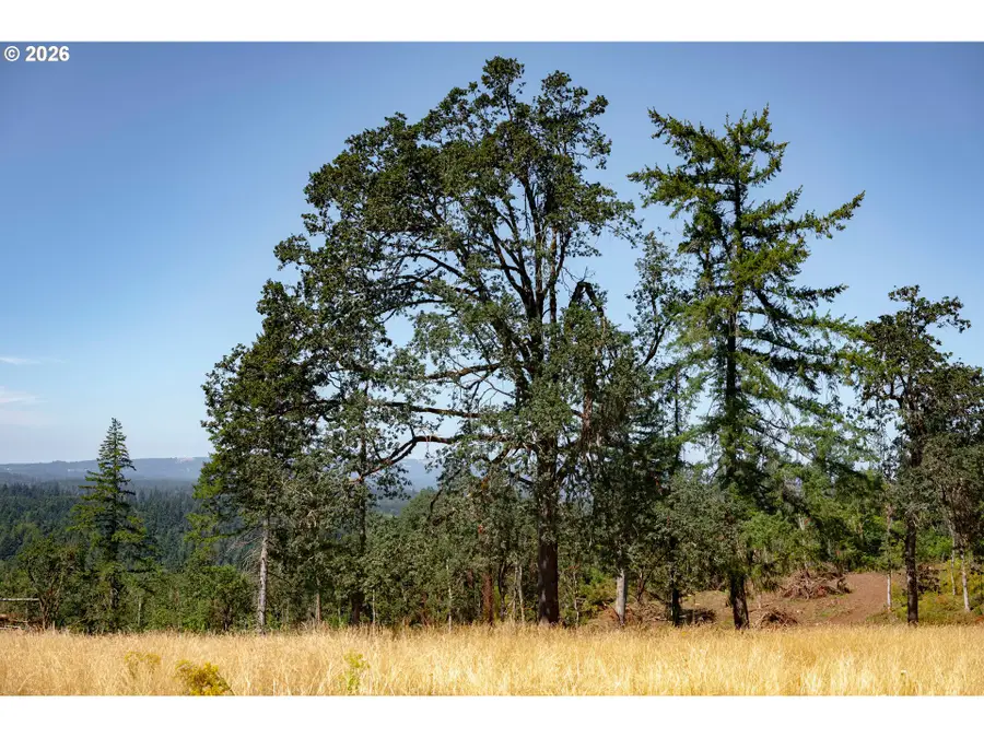 28797 SW Petes Mountain Rd, Northwest Clackamas, OR 97068 - #3