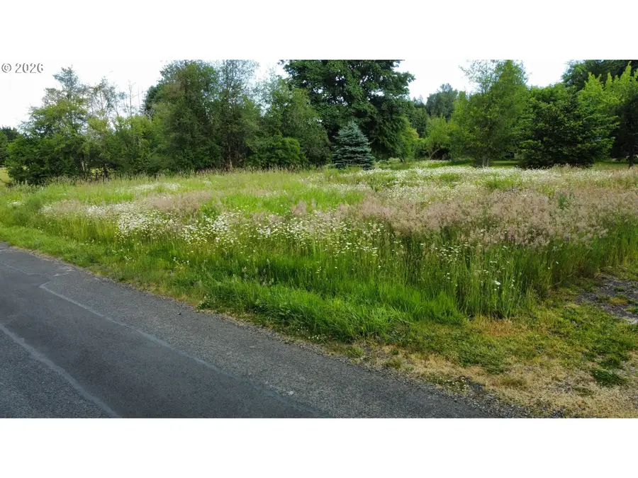 1211 8th St, Vader, WA 98593 - #3