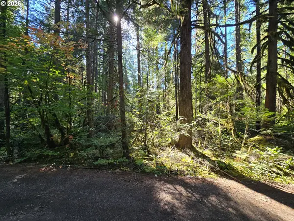 1655144006600, McKenzieBridge, OR 97413