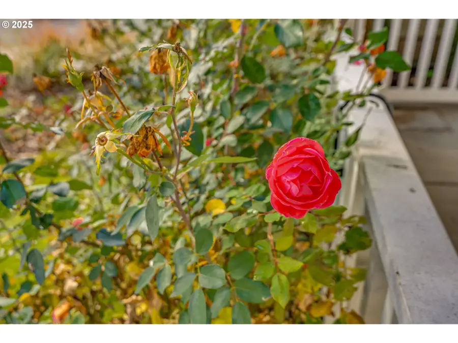 3314 NW 118th St, Vancouver, WA 98685 - Image #3