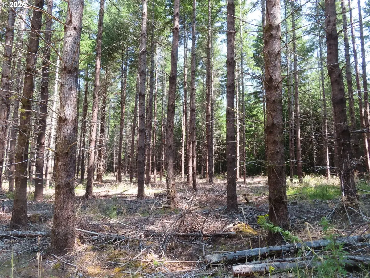 Chandler Rd, Bunker, WA 98572 - #1