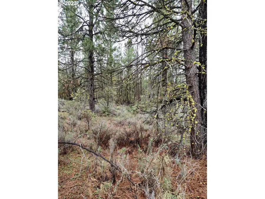 1 Forest Rd 9715, Chiloquin, OR 97624 - #2