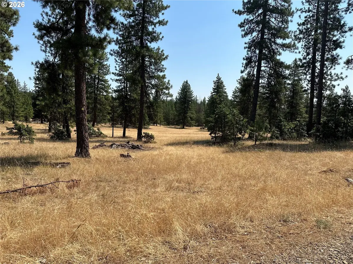 Lot 13 Greyback Mtn Rd #13, Goldendale, WA 98620 - #1