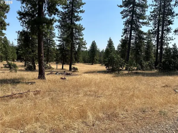 Lot 13 Greyback Mtn Rd #13, Goldendale, WA 98620