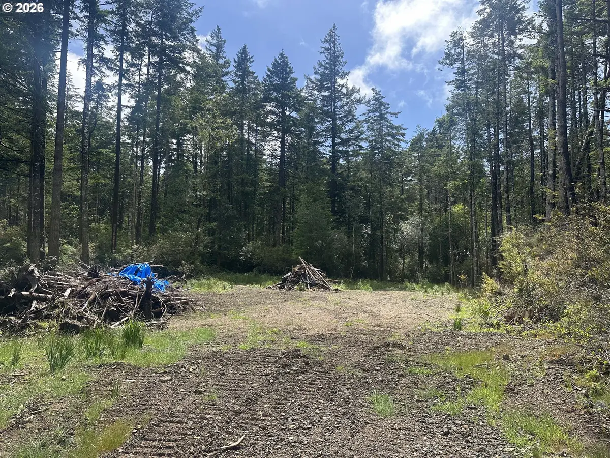 Cedar Hollow Rd, Portorford, OR 97465 - #1