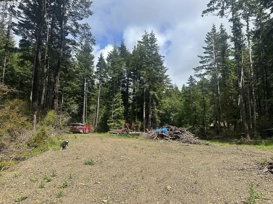 Cedar Hollow Rd, Portorford, OR 97465 - #2