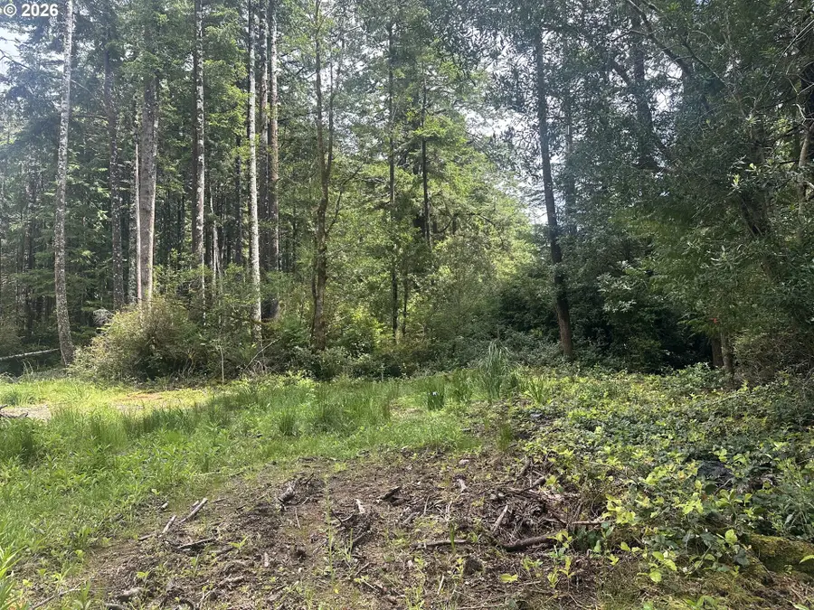 Cedar Hollow Rd, Portorford, OR 97465 - #3