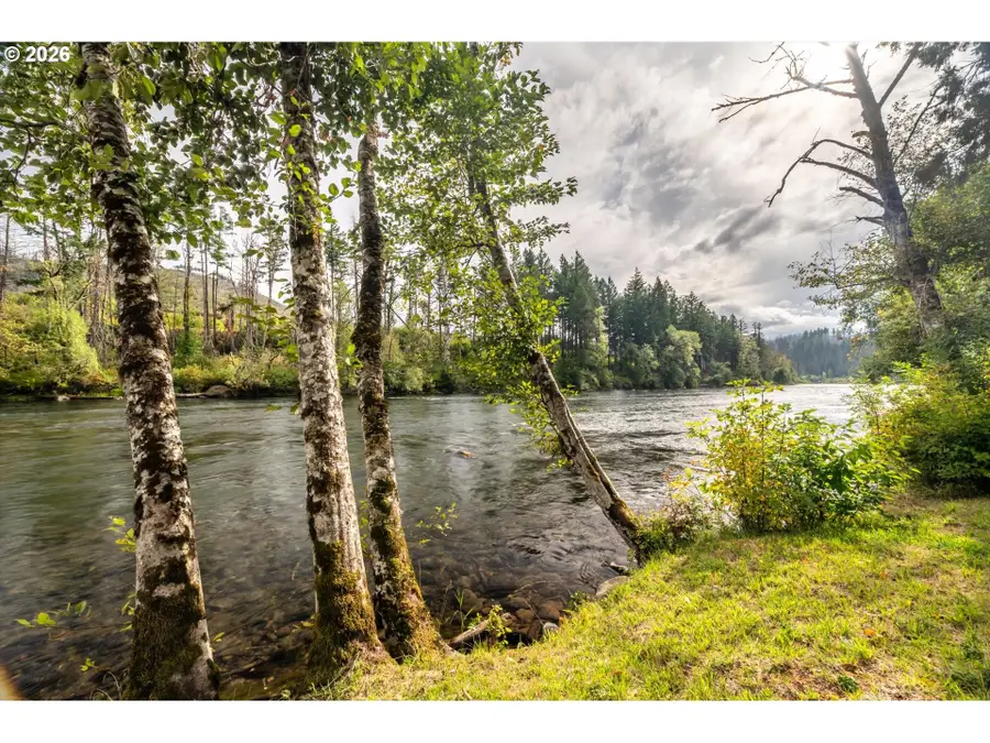 49838 Mckenzie Hwy, Vida, OR 97488 - #2