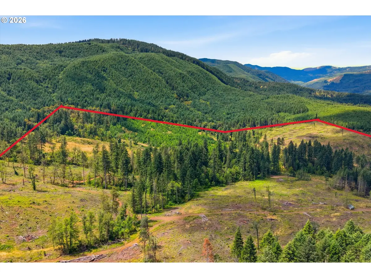 Fairdale Rd, Yamhill, OR 97148 - #1