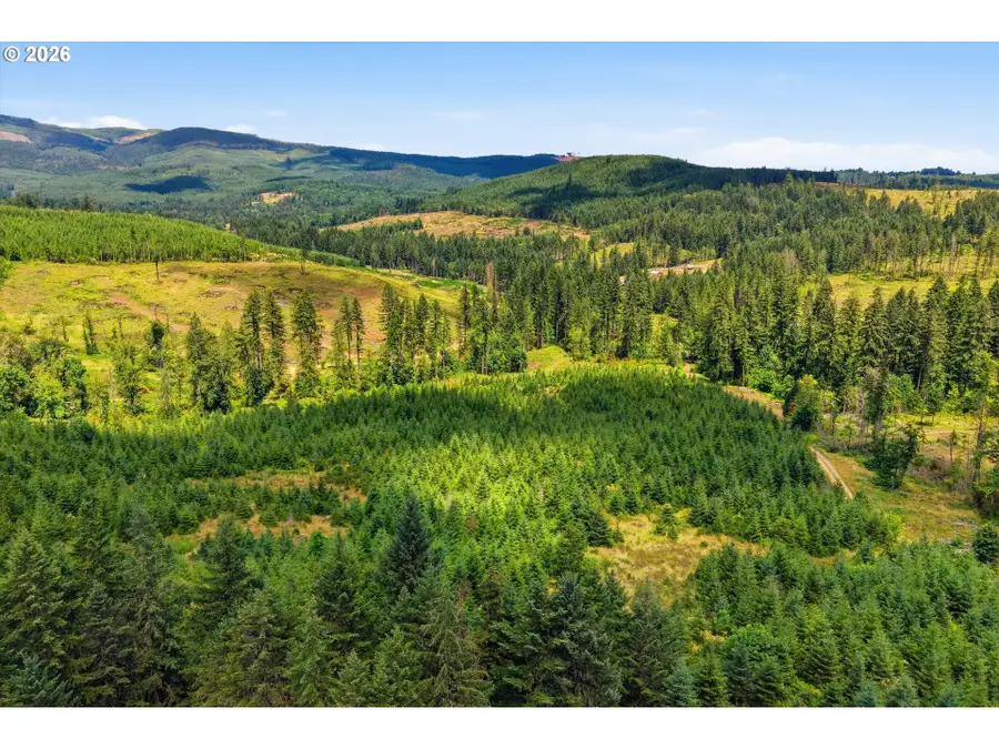 Fairdale Rd, Yamhill, OR 97148 - #2