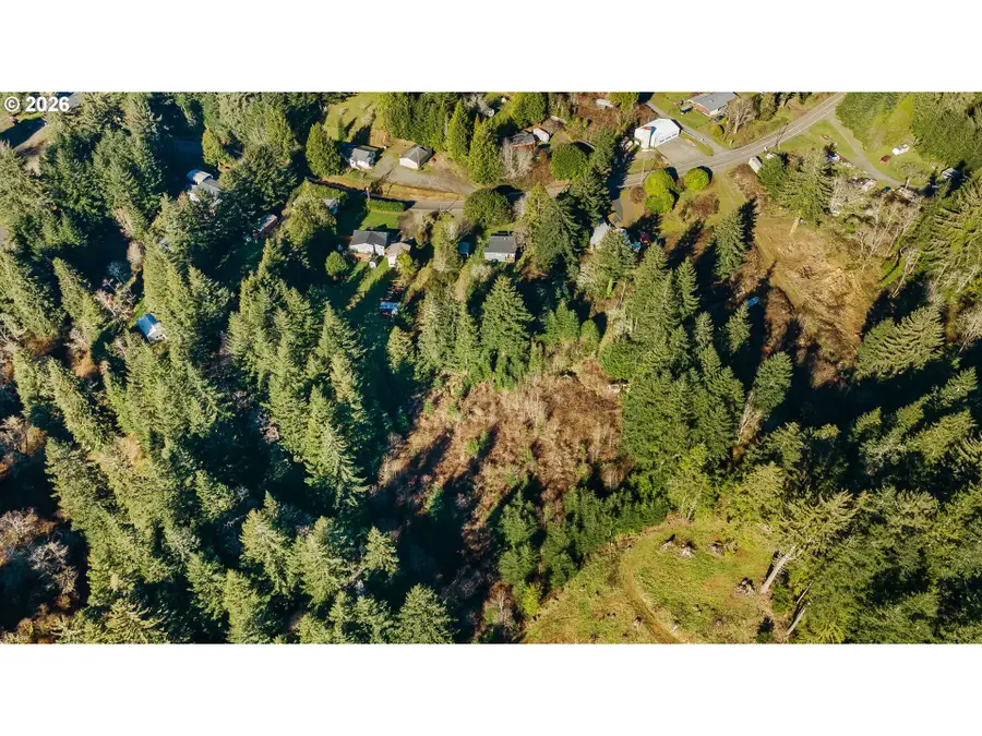 62251 Olive Barber Rd, Eastside, OR 97420 - #2