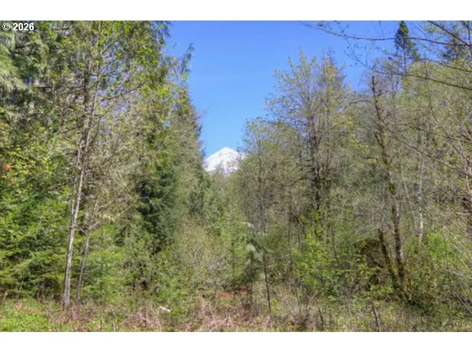 20284 E Carnarvon Dr, Rhododendron, OR 97049 - #1