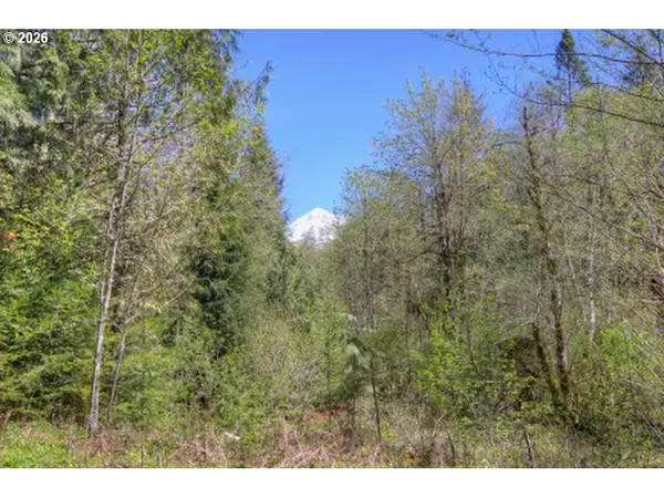 20284 E Carnarvon Dr, Rhododendron, OR 97049