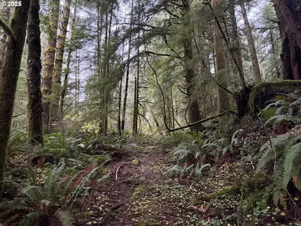 0 Siletz Hwy, LincolnCity, OR 97367