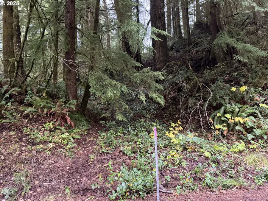 0 Siletz Hwy, Lincoln City, OR 97367 - Image #2